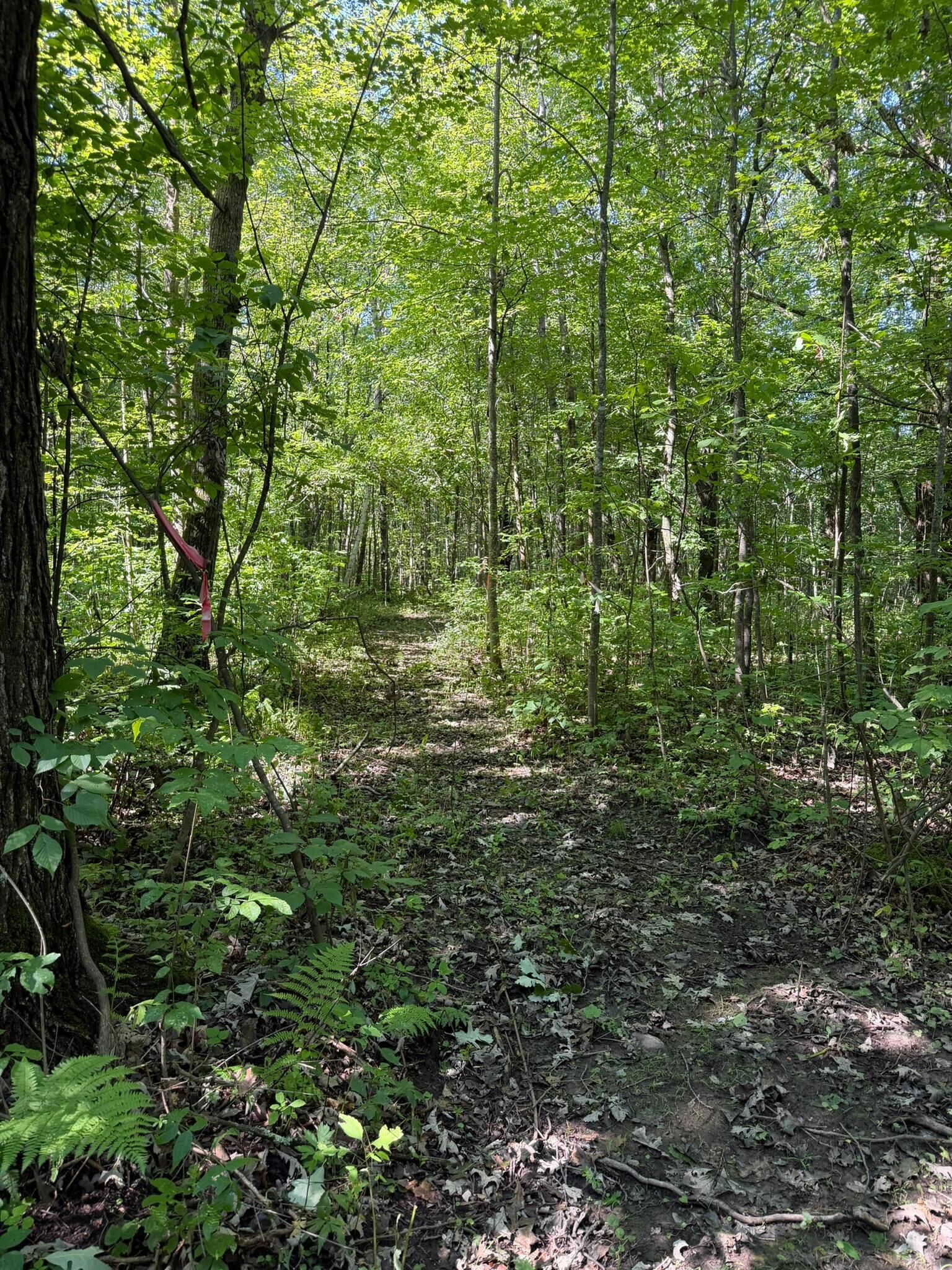 Property Photo: 23701 60th Avenue MN 56353