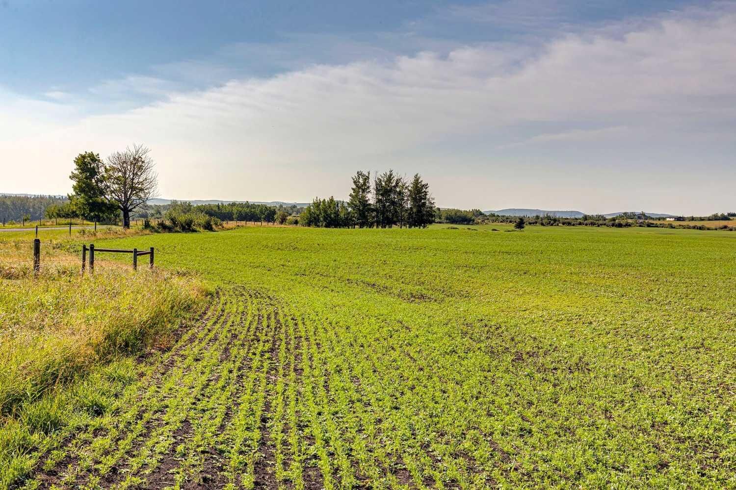Property Photo: 370 Ave W AB T0L 0H0