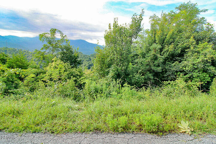 Property Photo:  Lot 254 Village Loop Road  TN 37738 