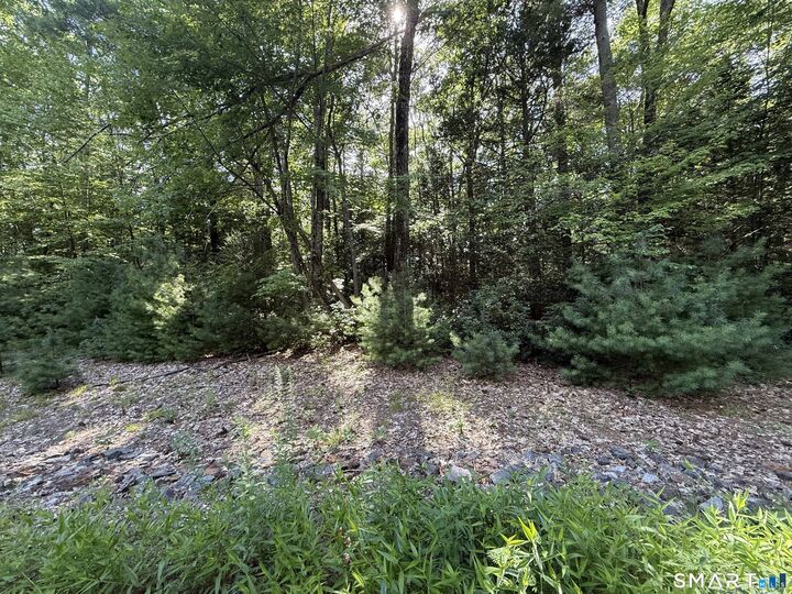 Property Photo:  Tayler Trail  CT 06281 
