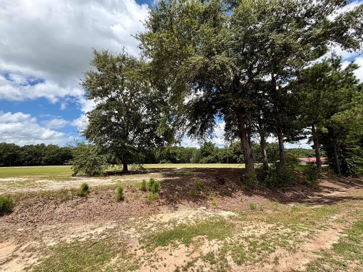 Property Photo:  Parcel 4 Iris Road  AL 36301 