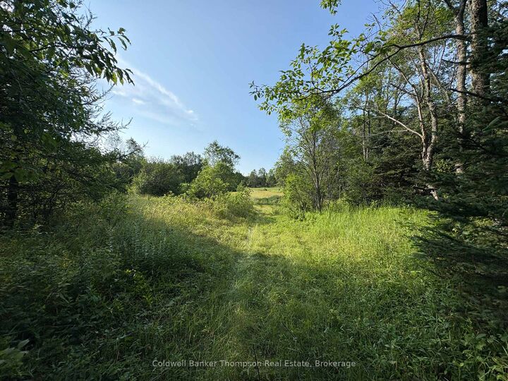 Property Photo:  Lt 12 Municipal Road N  ON P0A 1X0 