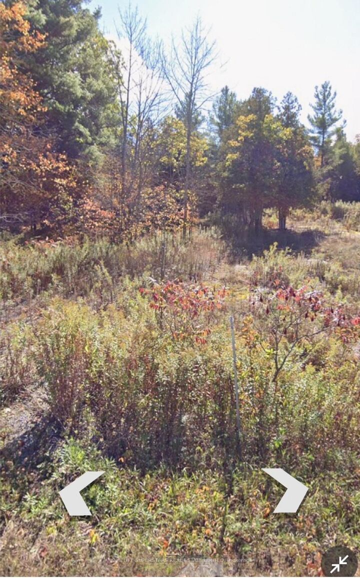 Property Photo:  82 Glen Ridge Road  ON K0K 2M0 