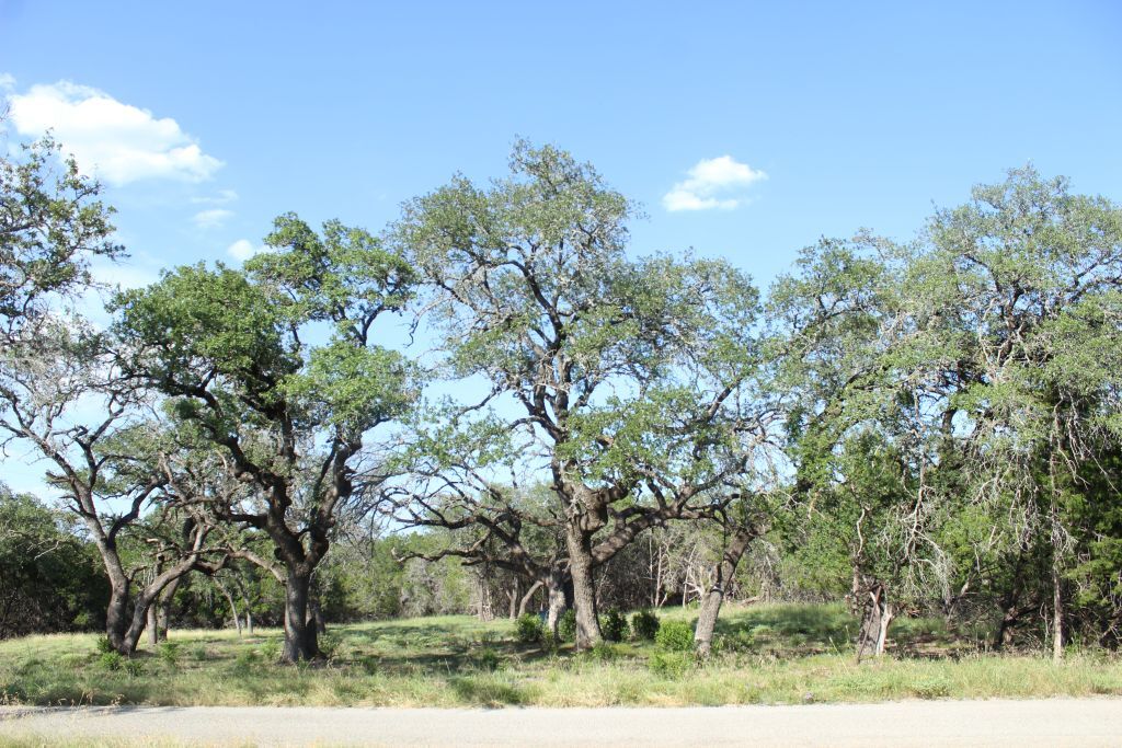 Property Photo:  Lots 56-57 Travis Oaks Drive  TX 78654 