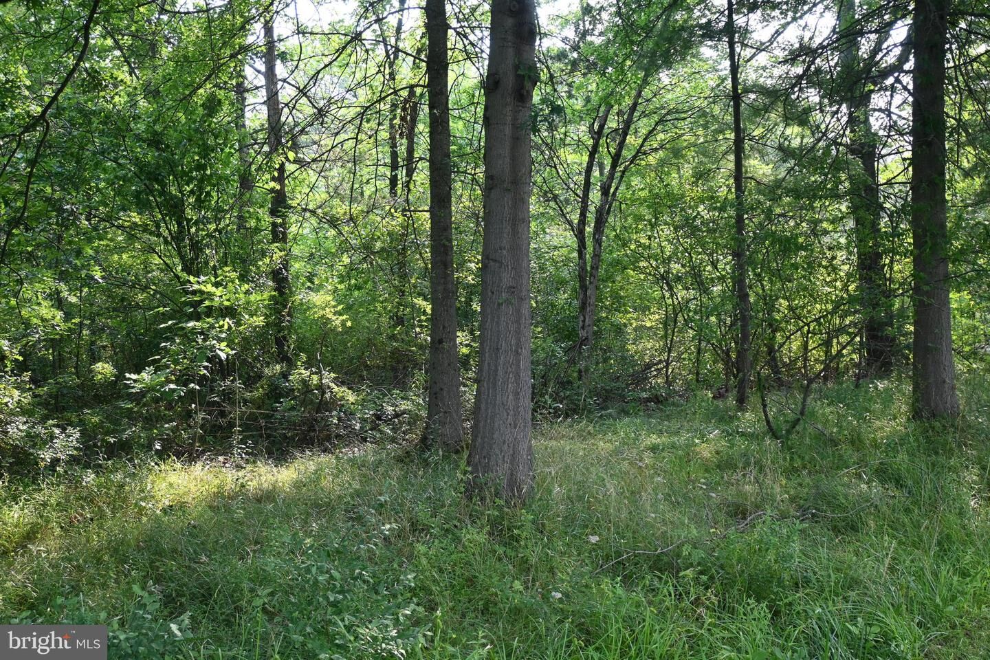 Property Photo:  455 East Paletown Road E Paletown Road Road  PA 18951 