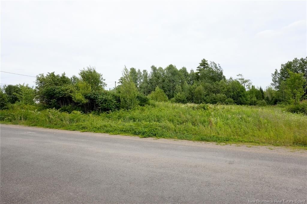 Property Photo:  201 Susan Drive  NB E3B 0P9 