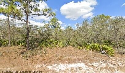 Property Photo: 3041 Cacao Road FL 33852
