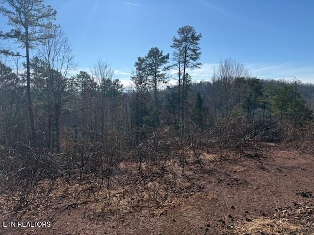 Property Photo:  Sweetwater Vonore Rd  TN 37874 
