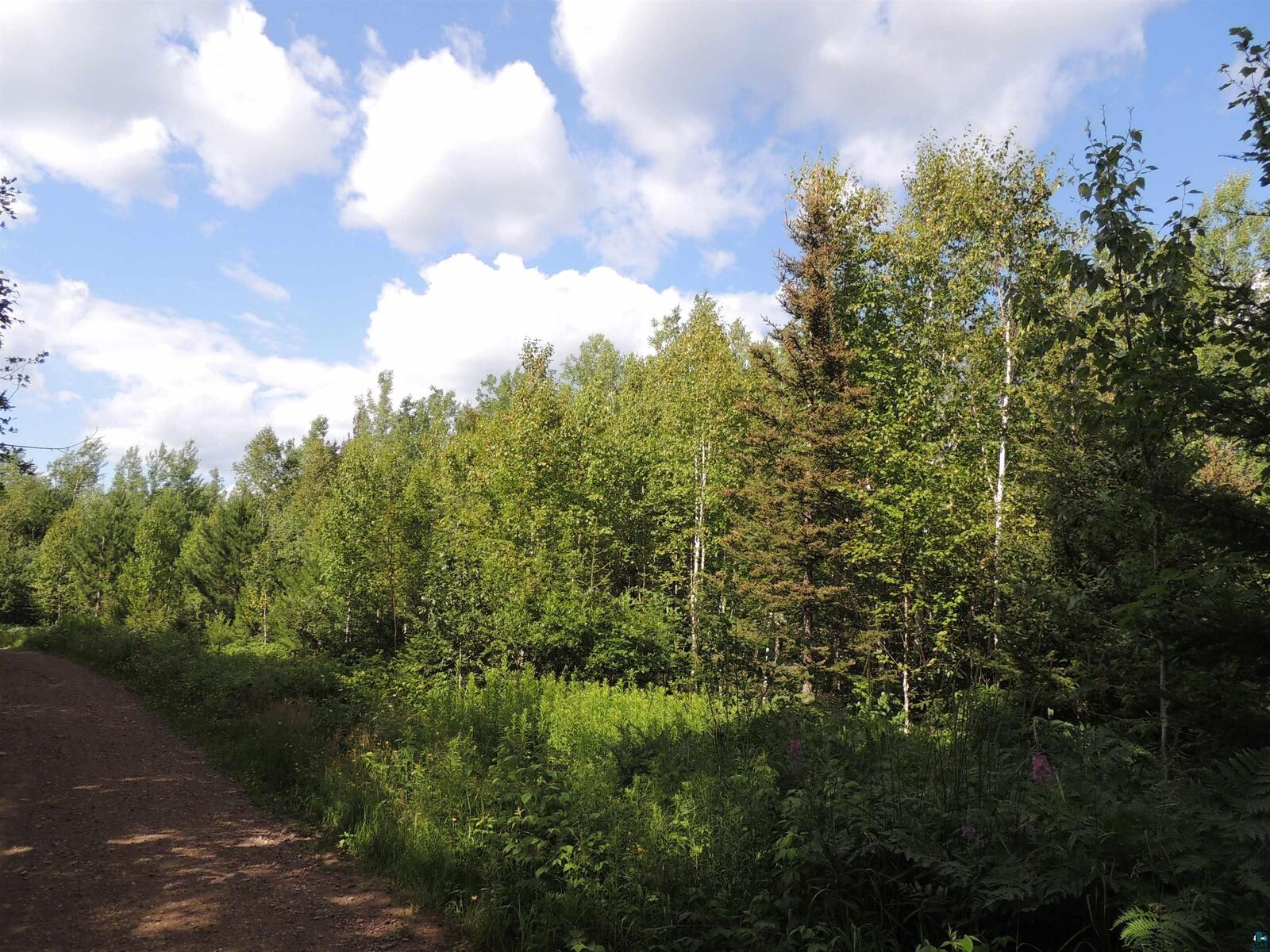 Property Photo:  X1 Cougar Tr  MN 55604 
