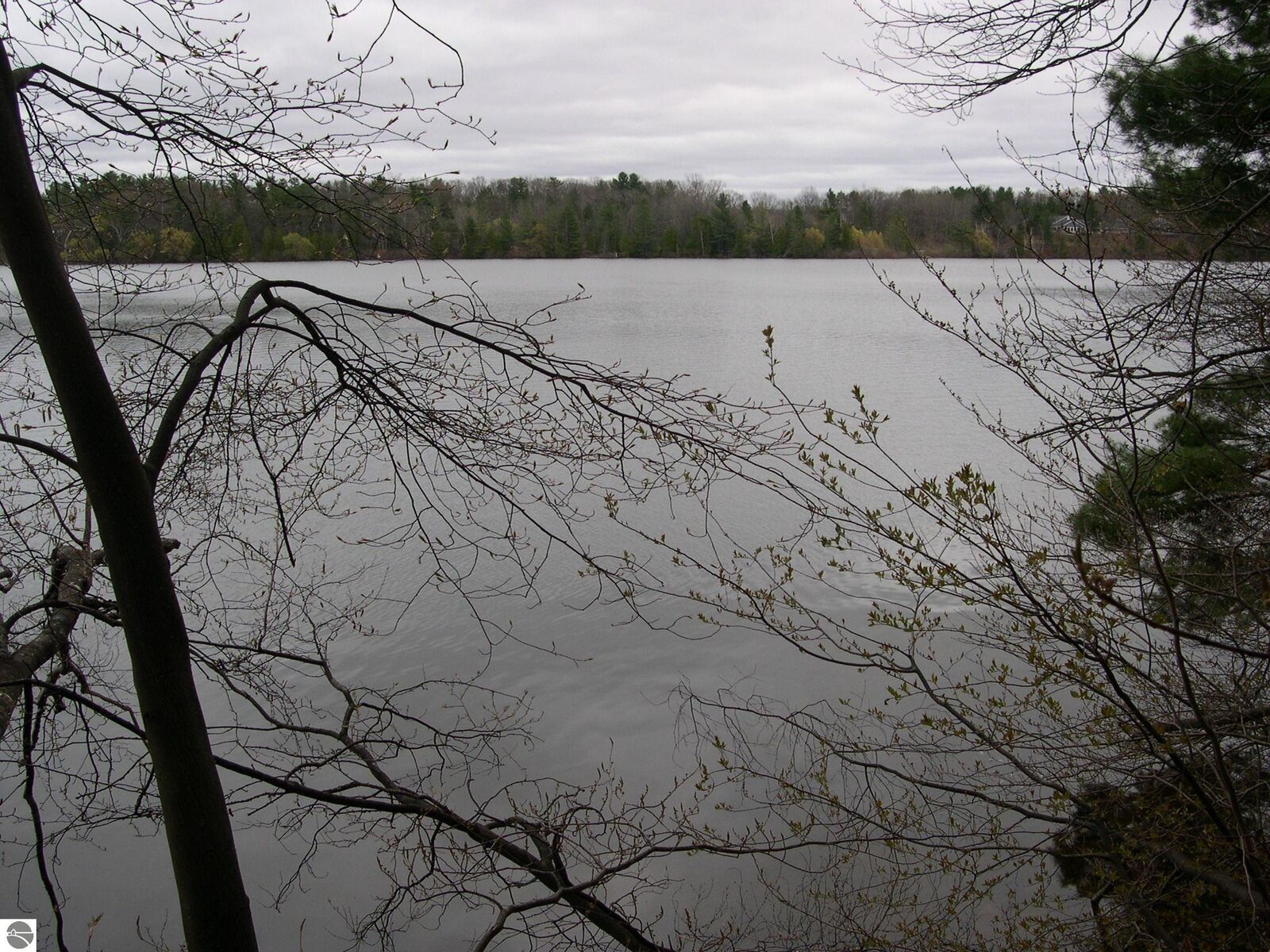 Property Photo: 1589 Edgewater Ridge MI 49684