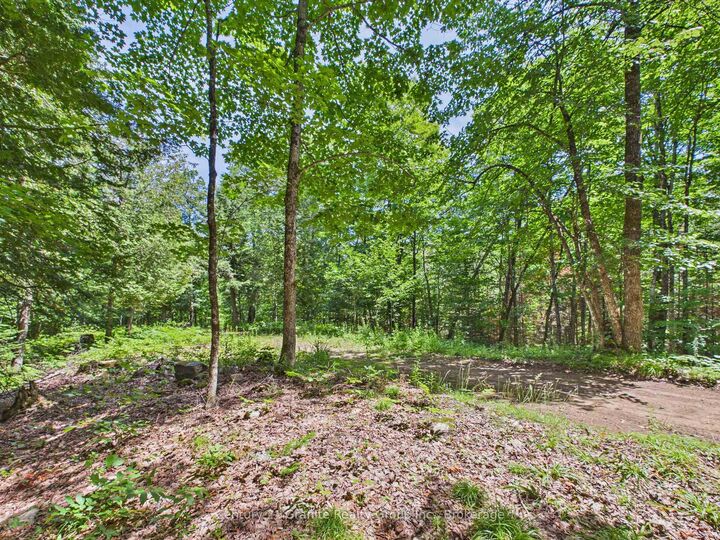 Property Photo: 1230 Old Donald Road ON K0M 1S0