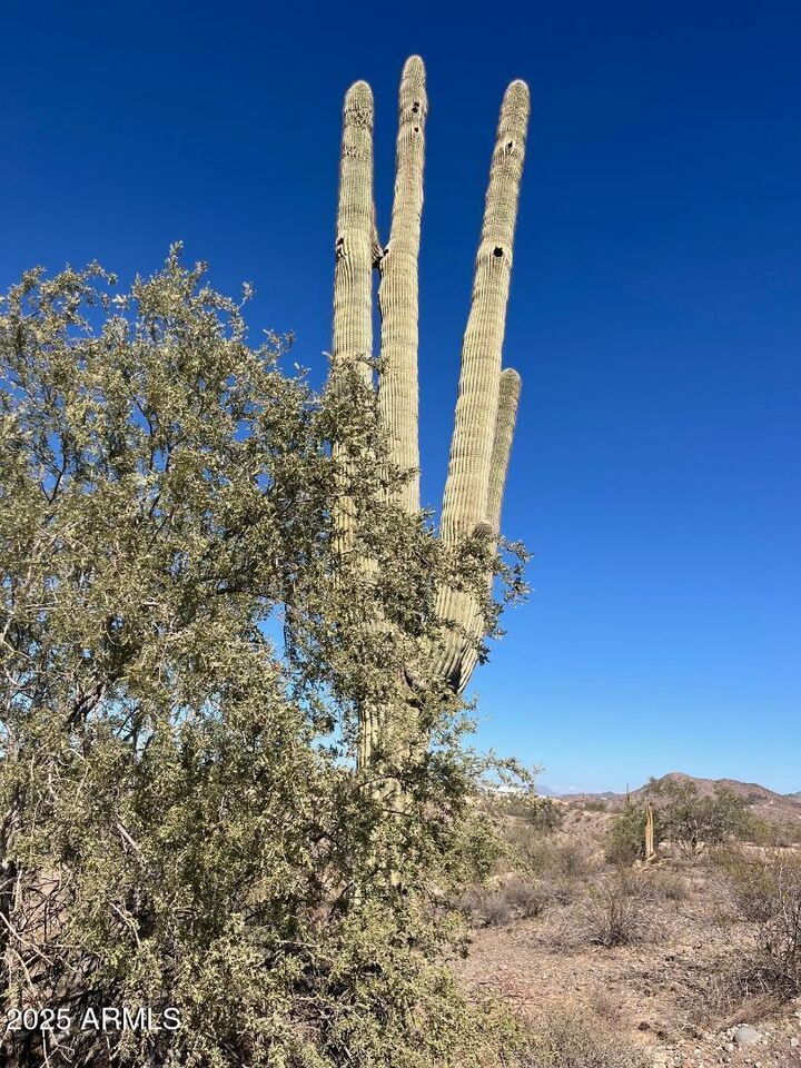 Property Photo:  26113 N 113th Avenue -  AZ 85383 