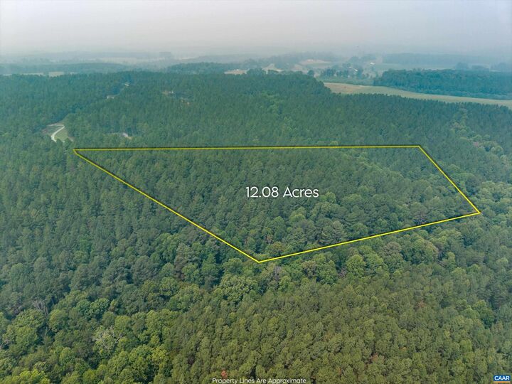 Property Photo:  8 Piney Mountain Ln  VA 22963 