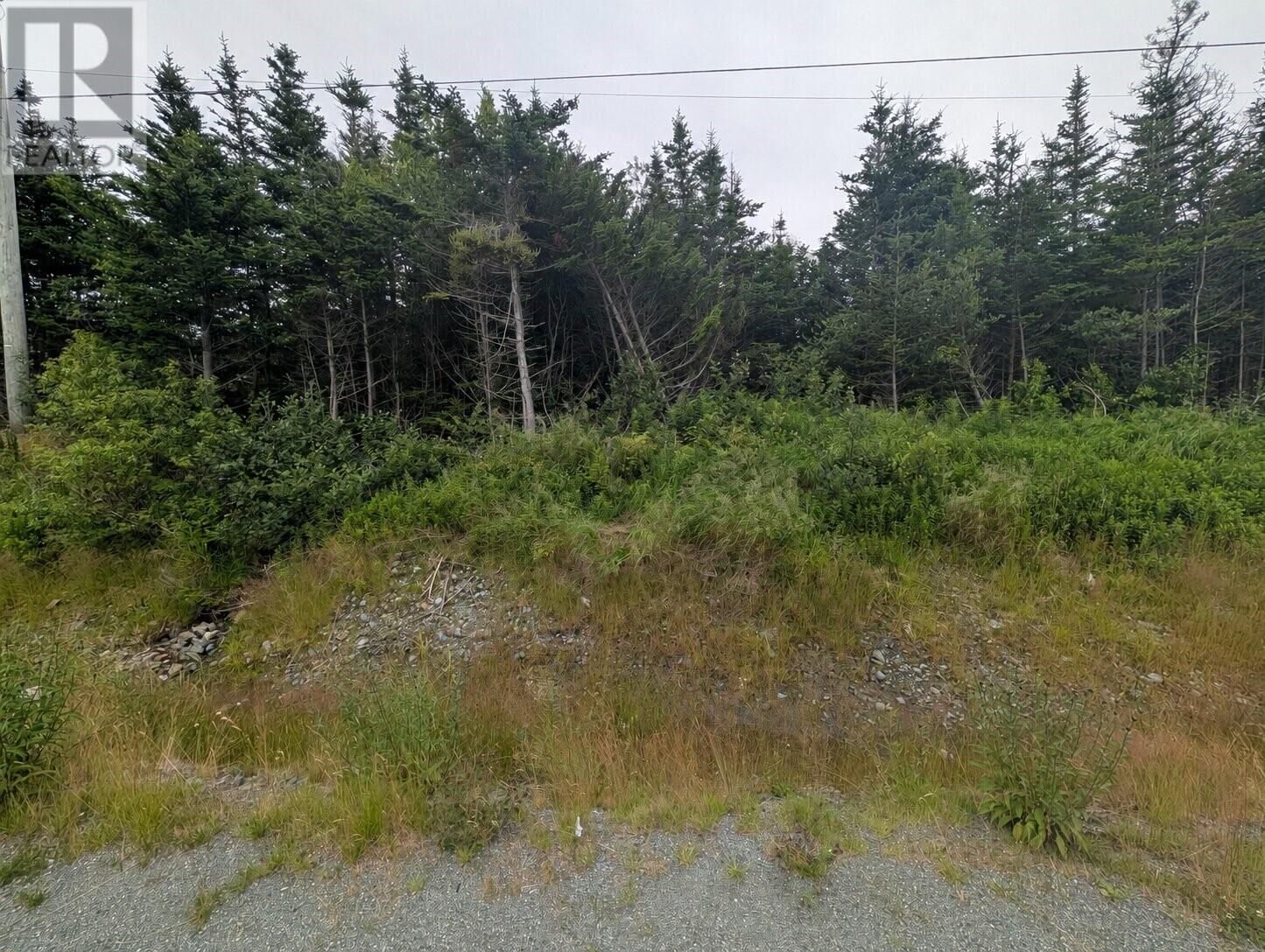 Property Photo:  0 Salmonier Line  NL A0A 3P0 