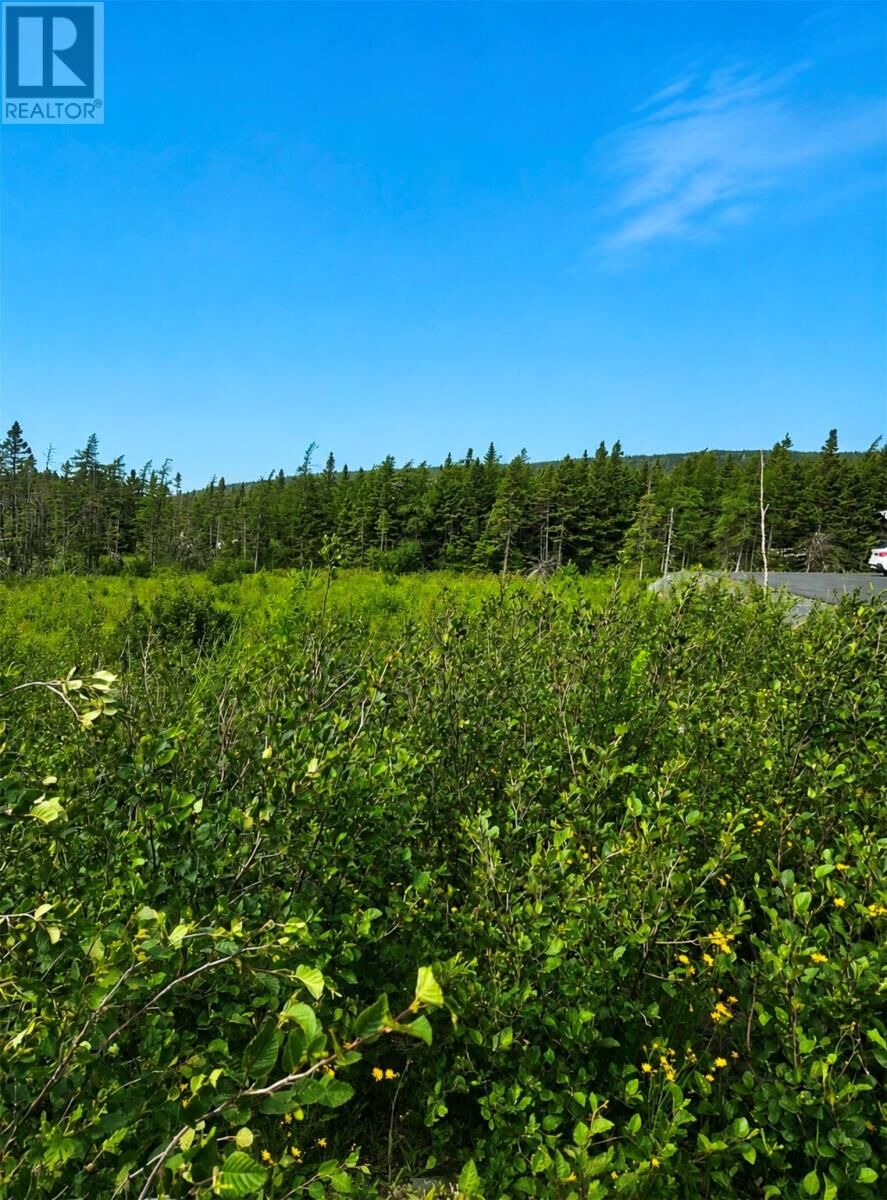 Property Photo:  168 Hodgewater Line  NL A0A 3W0 