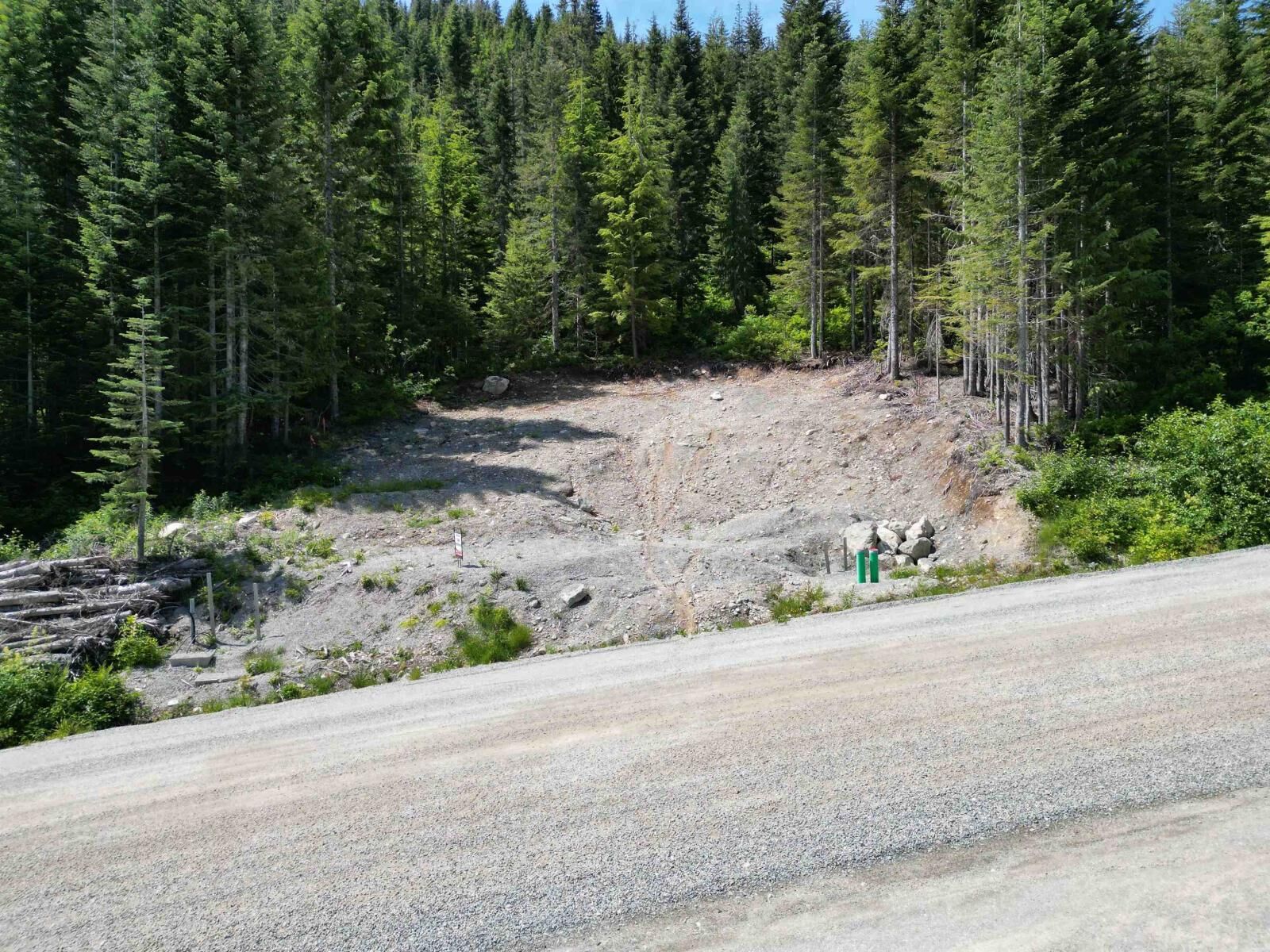 Property Photo:  20689 Edelweiss Drive  BC V0M 1A1 