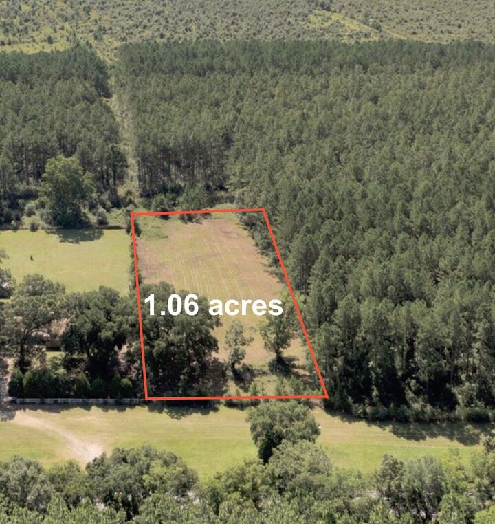 Property Photo:  1.06 Ac N Hwy 85  FL 32567 