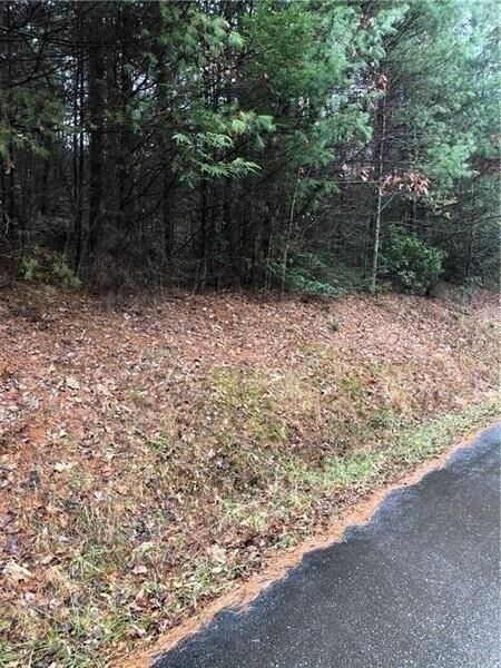 Property Photo:  00 Flag Pole Circle  GA 30540 