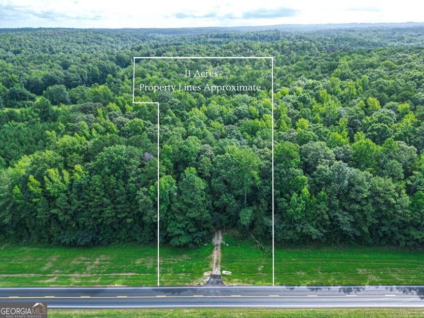 Property Photo:  0 Highway 431  AL 36274 