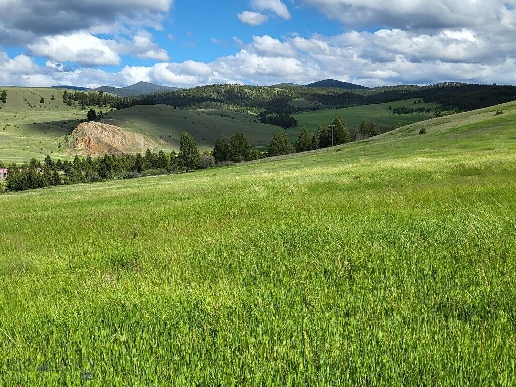 Property Photo:  65 Gold Coin Road  MT 59837 