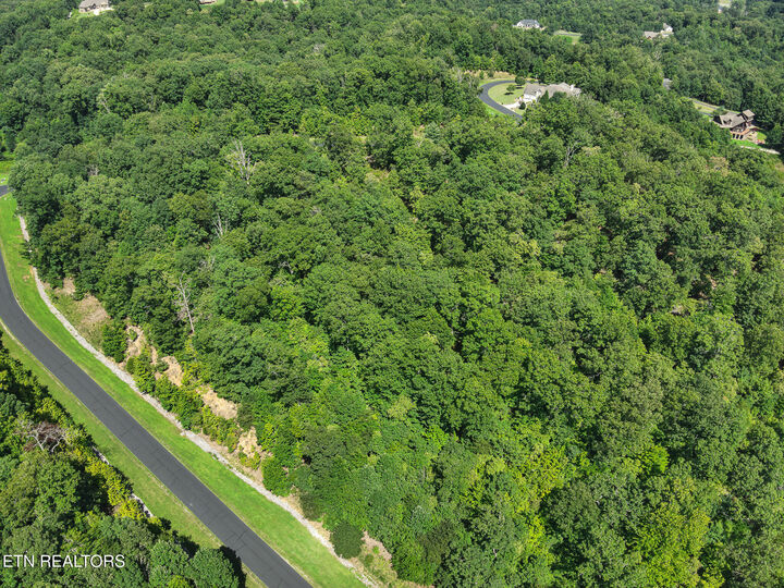 Property Photo:  393 W Mountain Drive  TN 37854 