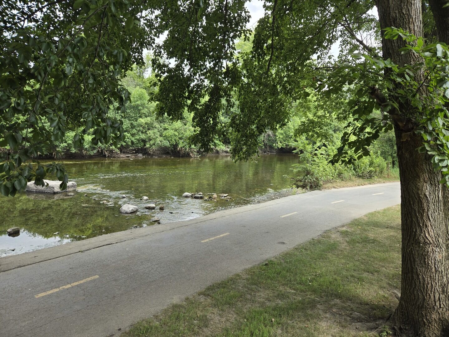 Property Photo: 1722 S Washington Street 1722 IL 60565