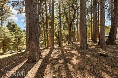 Property Photo:  0 Valley View  CA 92382 