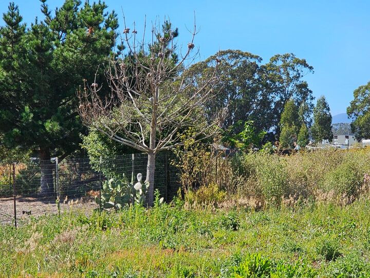 Property Photo:  00 Marinero  CA 94019 