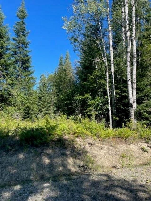 Property Photo:  3xx Lot 10 N Leclerc Rd  WA 99139 