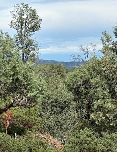 Property Photo:  1209 Heather Circle  AZ 85541 