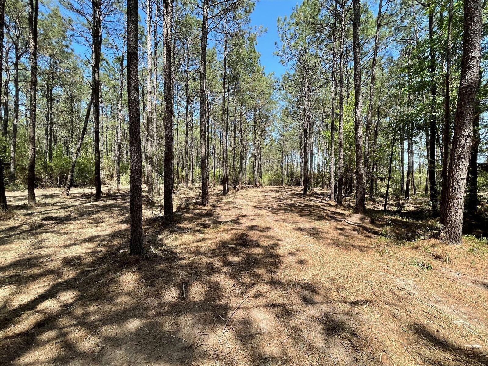 Property Photo: 15899 Wood Grove Way TX 77378
