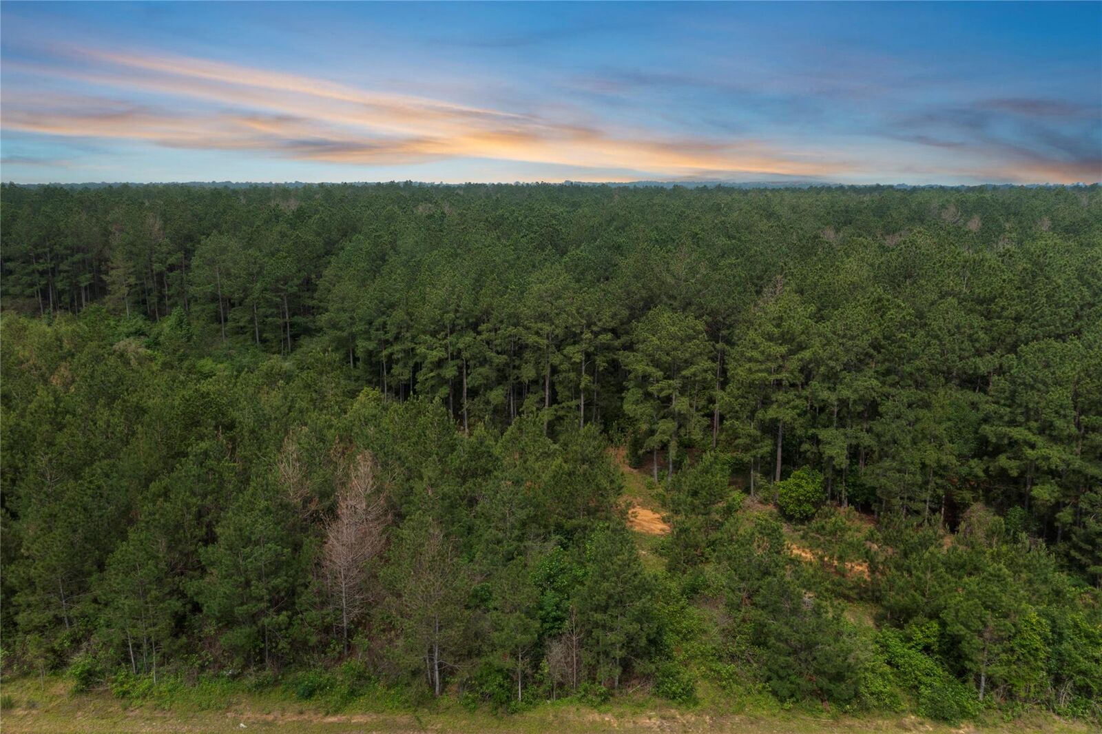 Property Photo: 15899 Wood Grove Way TX 77378