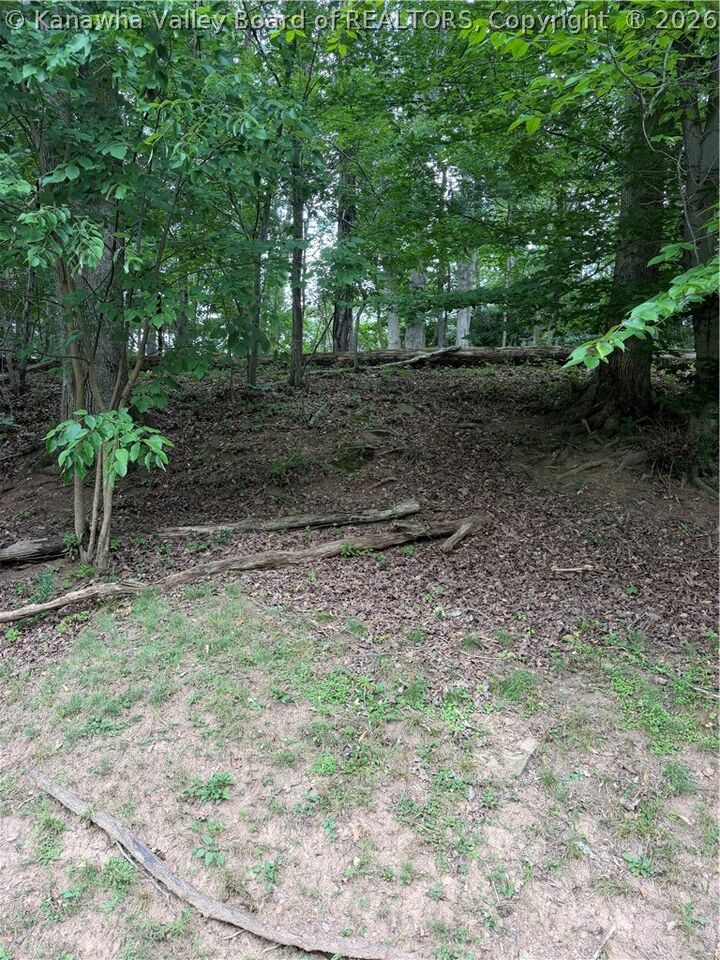 Property Photo:  0 Monument Drive  WV 25143 