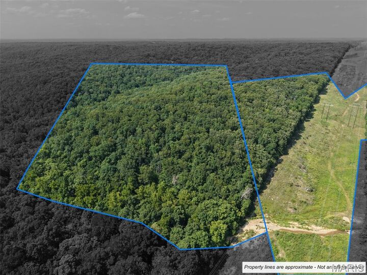 Property Photo:  41 Acres Whittaker Road  MO 63036 