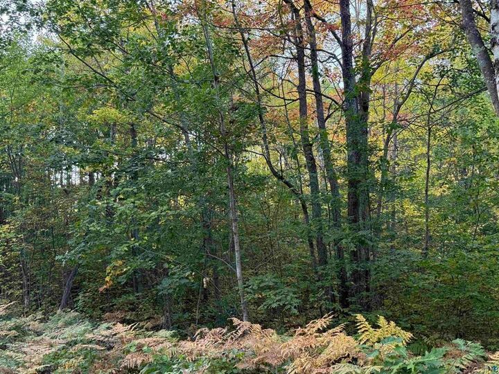 Property Photo: 000 Hwy 2 WI 54847