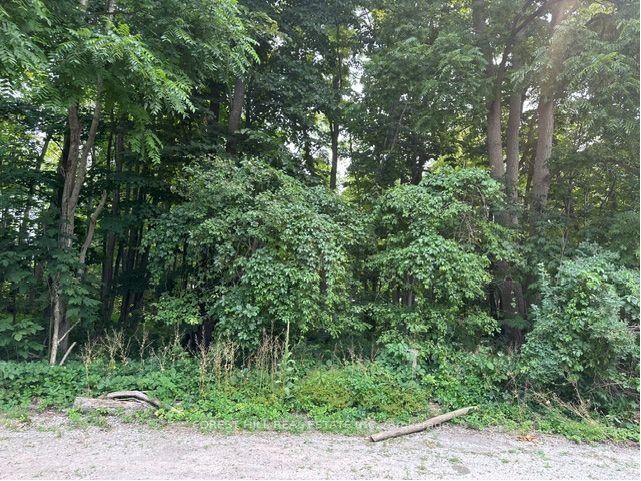 2728 25th Side Road — photo 1