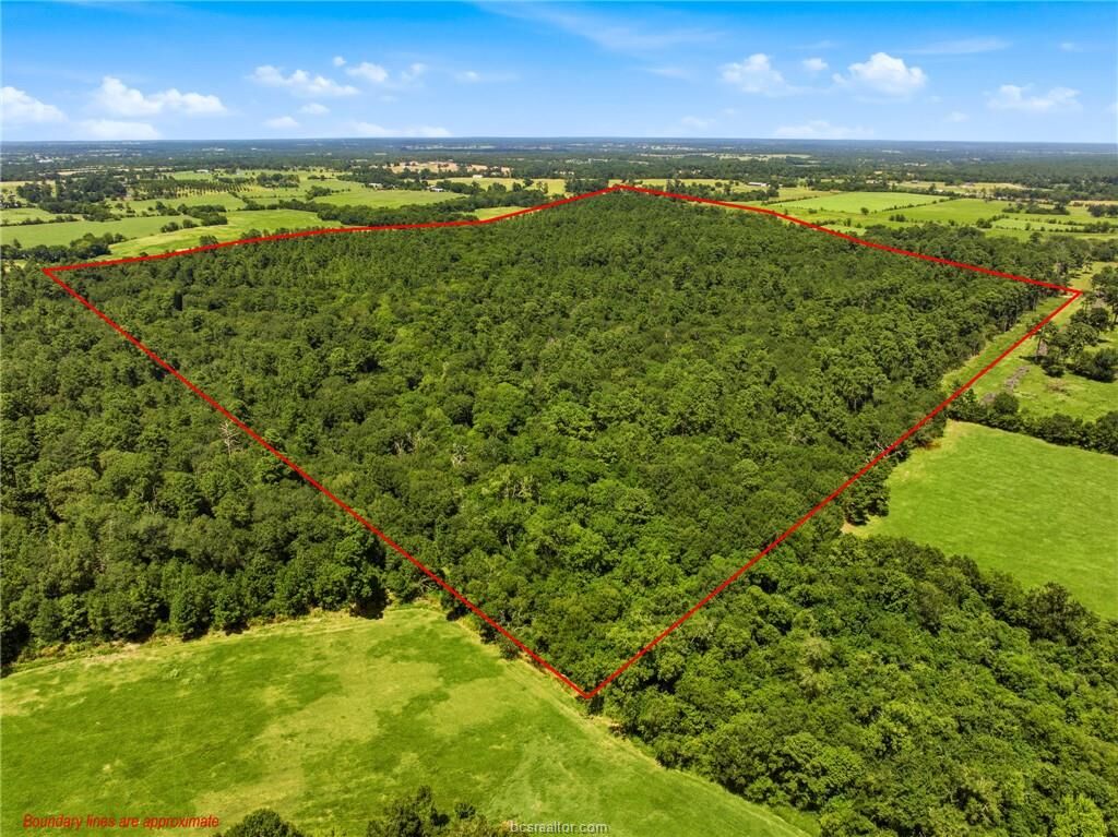 Property Photo:  118.25 Acres Cr 278C  TX 77830 