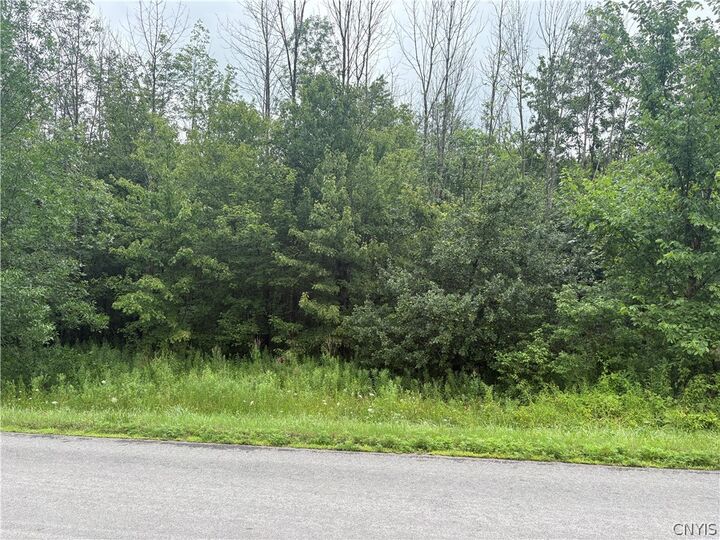 Property Photo:  Red School House Road  NY 13069 