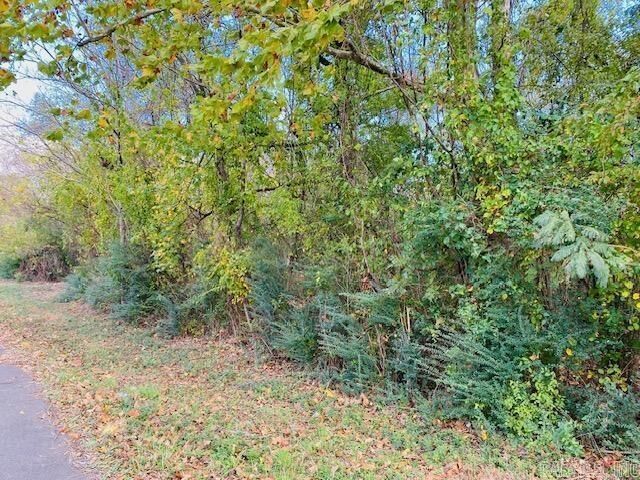 Property Photo:  Unk Maple Street  AR 71953 