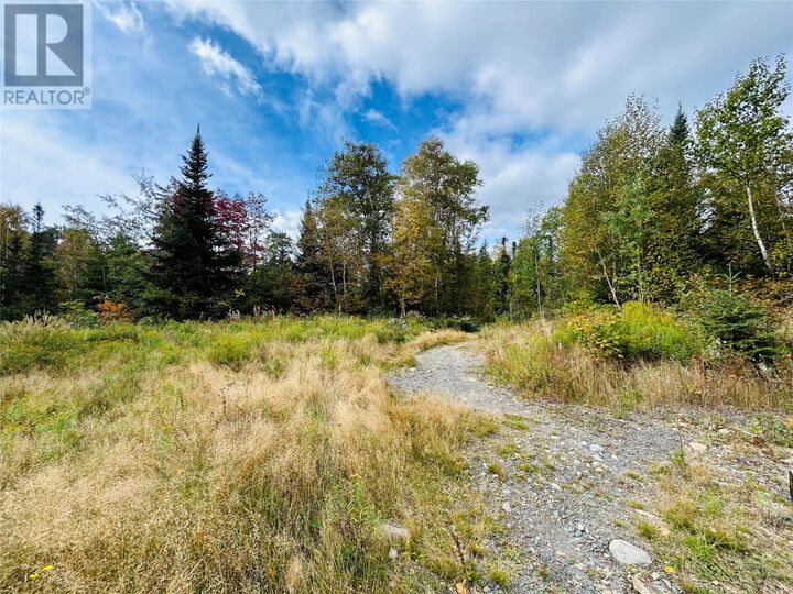 Property Photo:  117 Askels Cove Road  NL A0H 1Z0 
