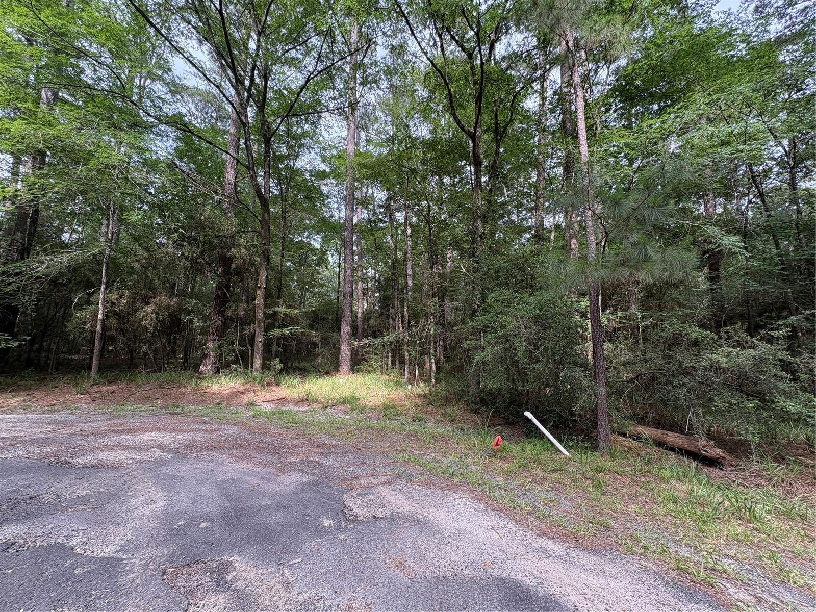 Property Photo: Tbd N Clear Spring Road TX 75862
