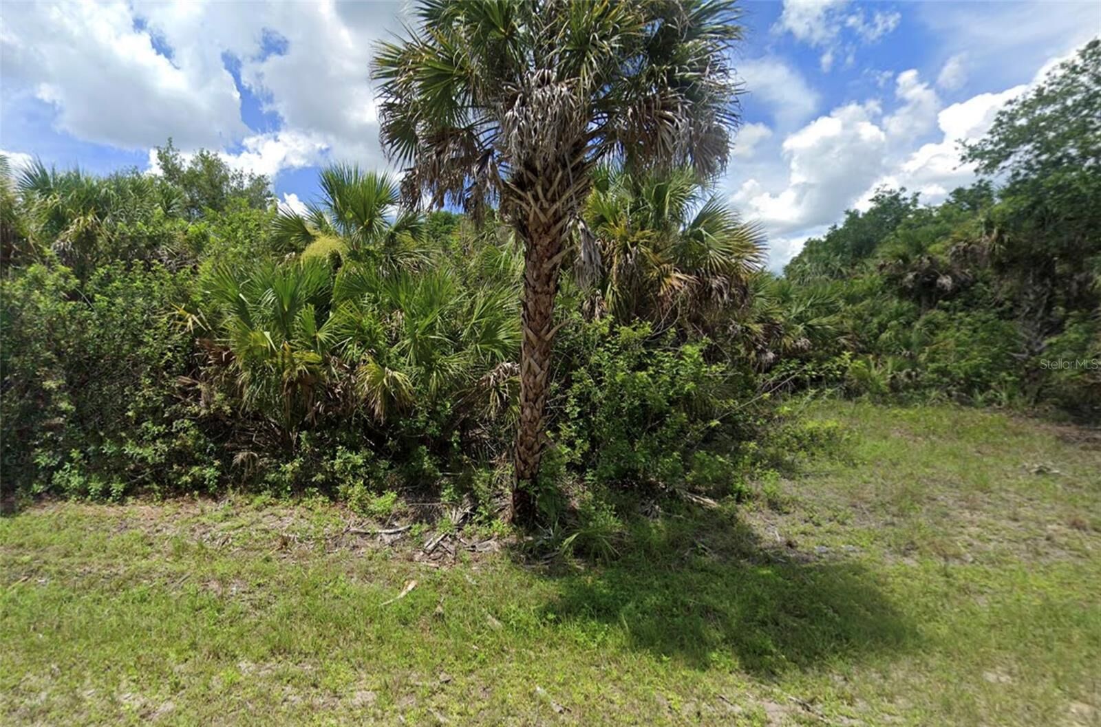 Property Photo:  16246 Arcaro Avenue  FL 33954 