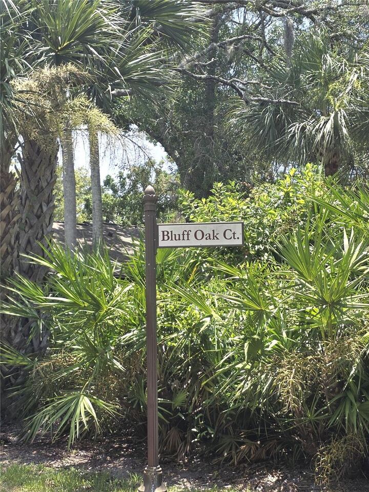 Property Photo: 4045 Bluff Oak Court FL 34684