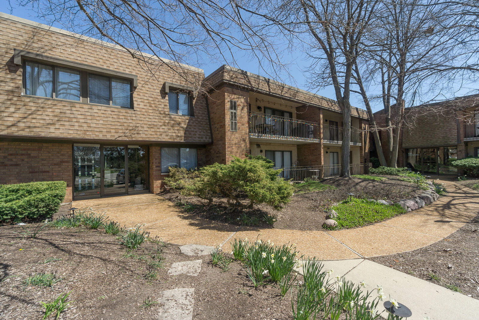 Property Photo: 250 Old Oak Drive 172 IL 60089