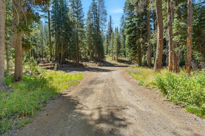 Property Photo: 20414 US Highway 50 CA 96155