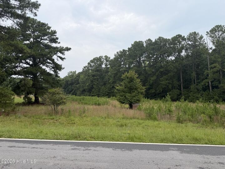 Property Photo:  0 Mayfield Road  GA 30828 