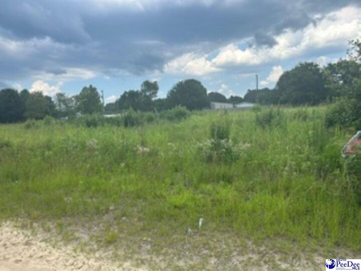 Property Photo:  2556 Shadeland Drive  SC 29547 