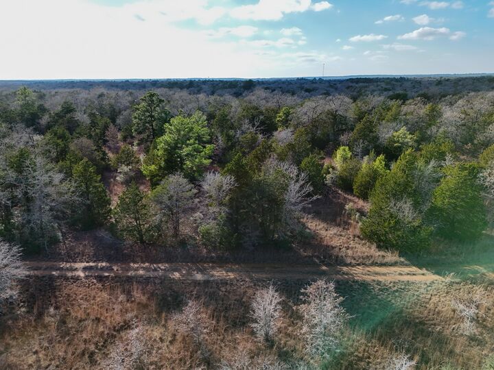 Property Photo: Lot 3 South Old Potato Road TX 78659