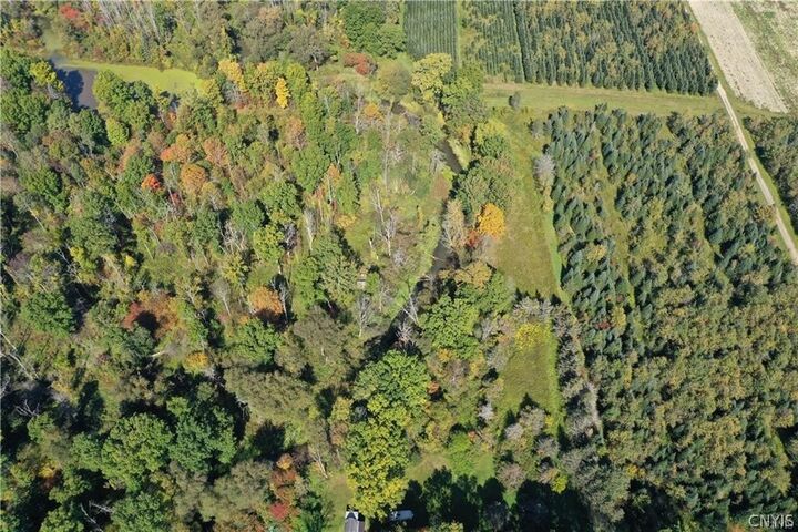 Property Photo: 0 Bumpy Bridge Road N NY 14873