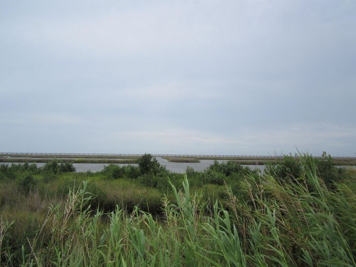 Property Photo:  Tbd Highway 1  LA 70357 